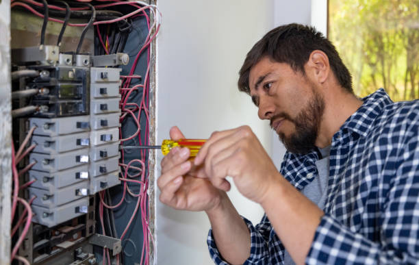 Best Electrical System Inspection  in Seadrift, TX